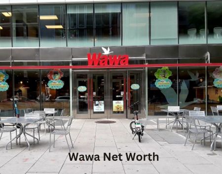 Rich result on Google's SERP when searching for "Wawa net worth 2023"